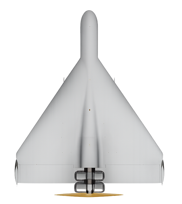 STRIKER